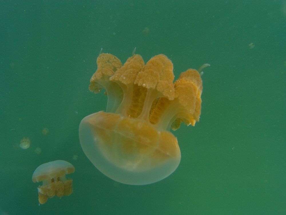 Photograph by Владимир