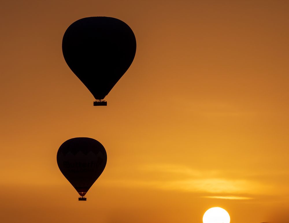 Photograph by Elena Levi