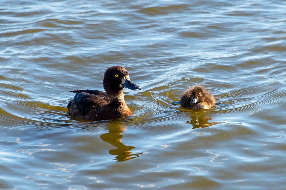 Photograph by Кадырова Марина