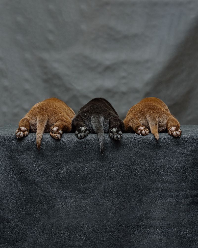 Photograph by Виктория Сафонова