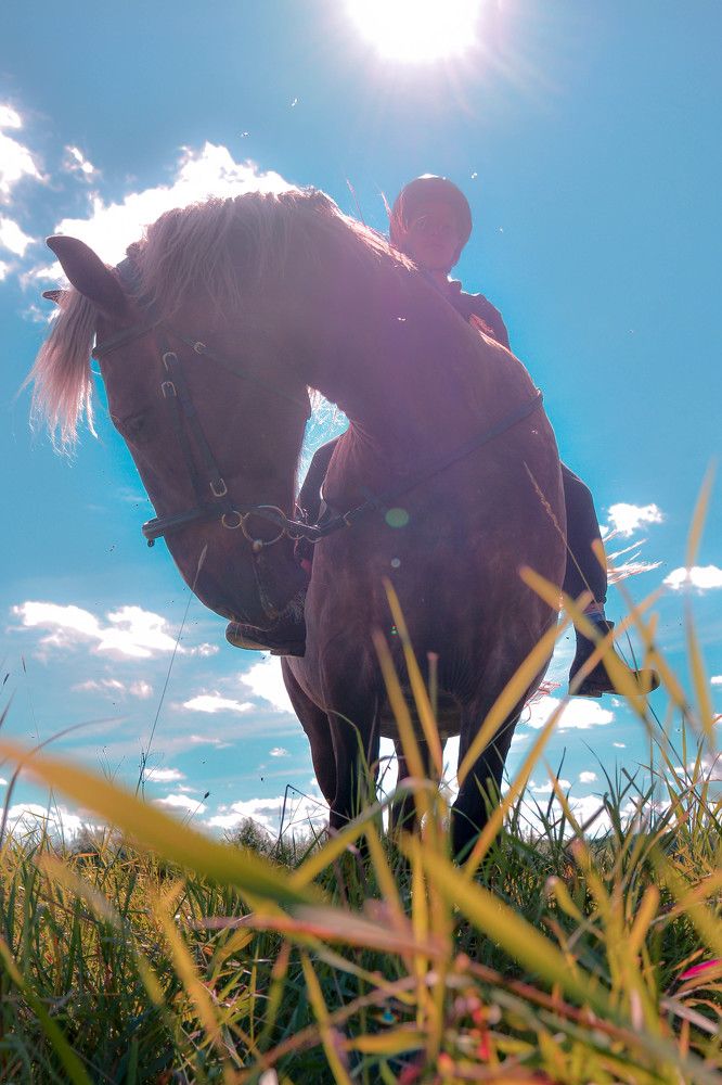 Photograph by Алексей Ильин