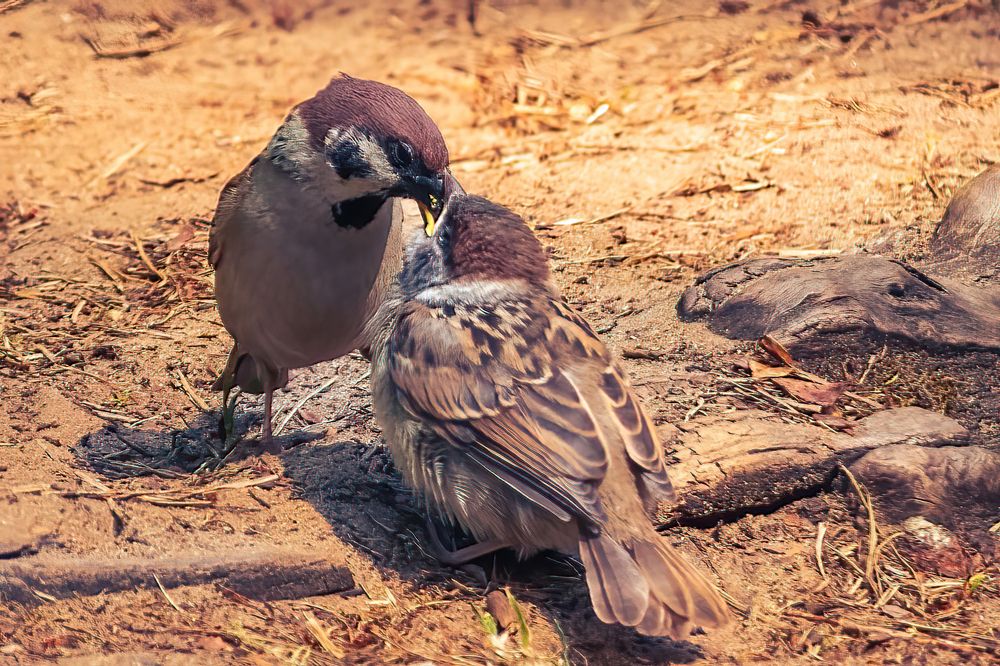 Photograph by Парфентьев Антон