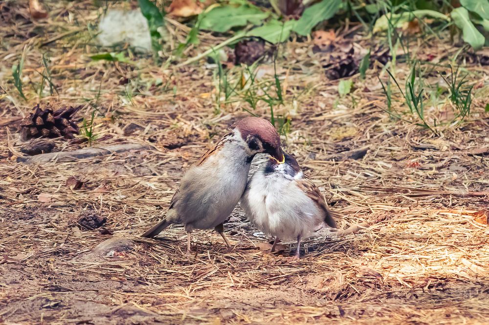 Photograph by Парфентьев Антон