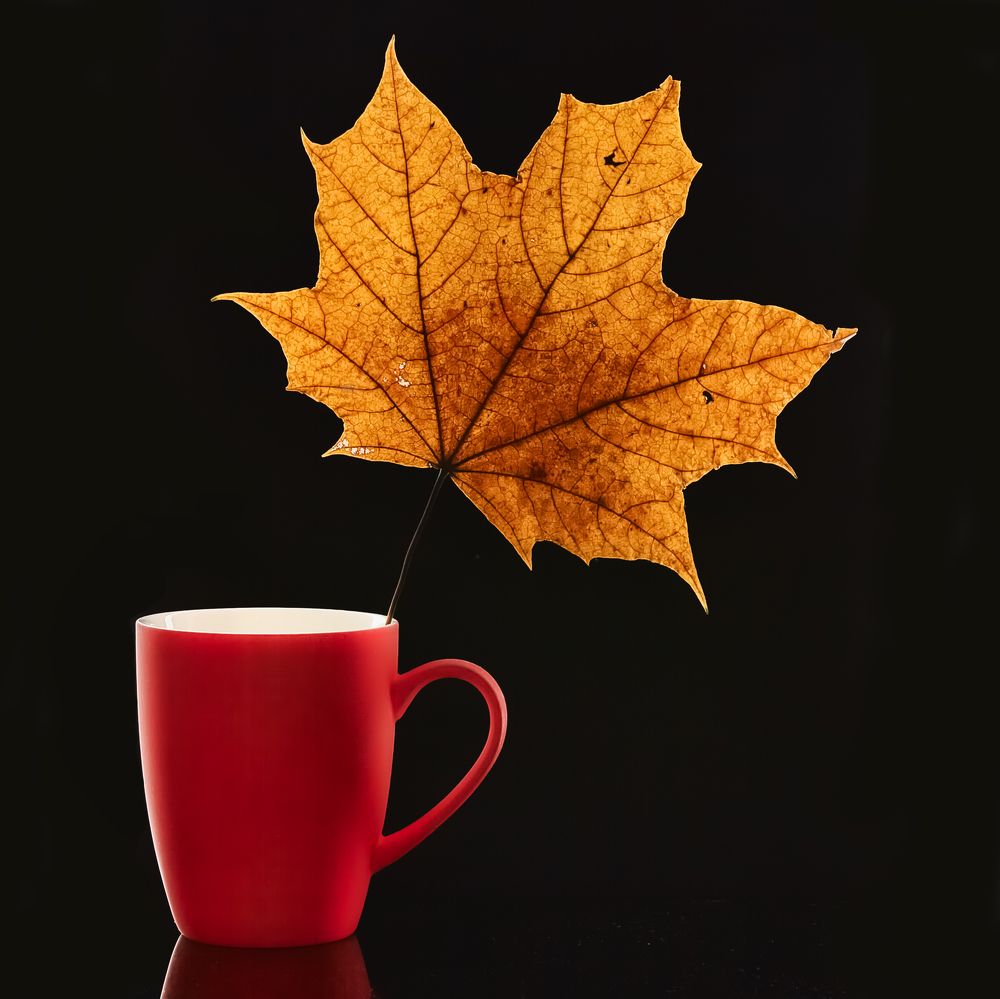 Photograph by Aleksandr Belov