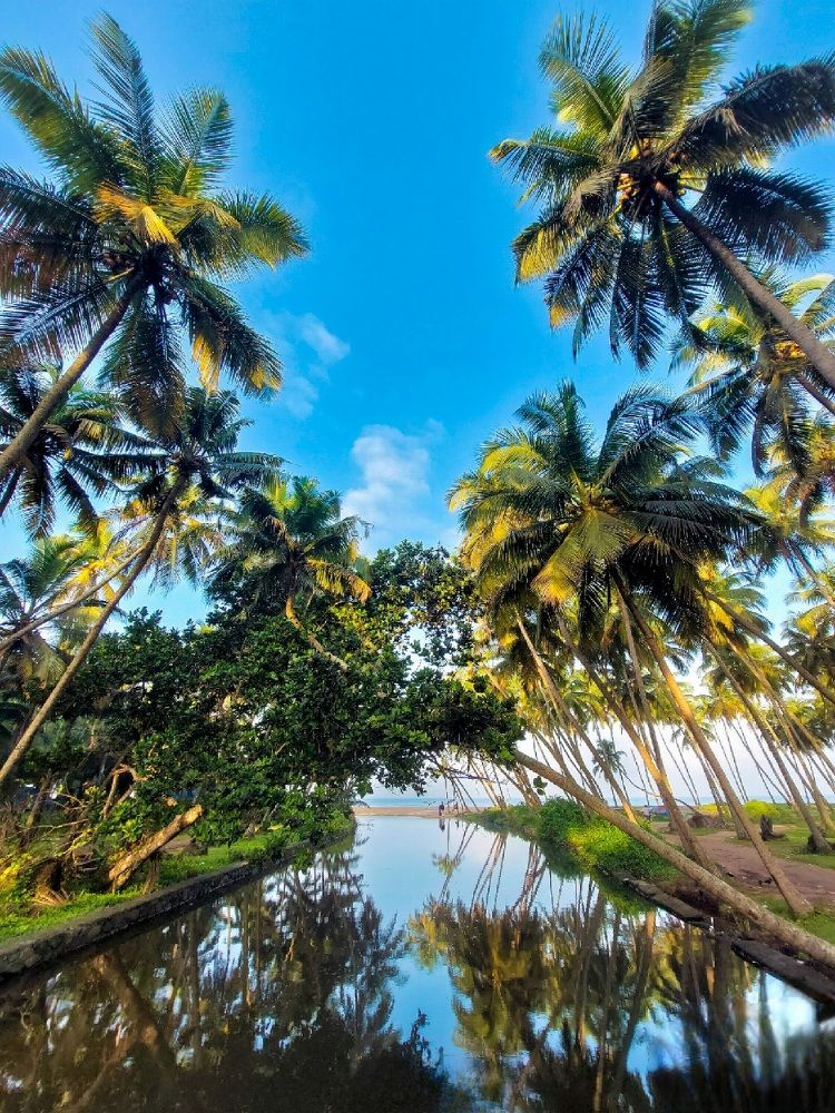 Dreamscape for couples