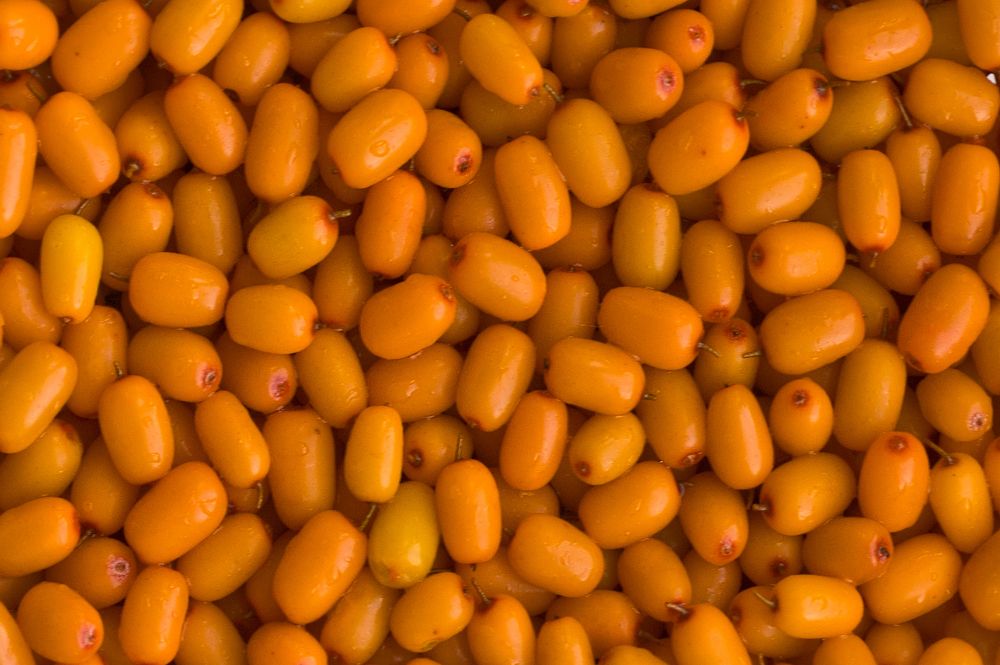 Photograph by Светлана Тарханова