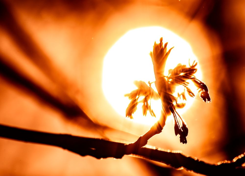 Photograph by Алексей Патрушев