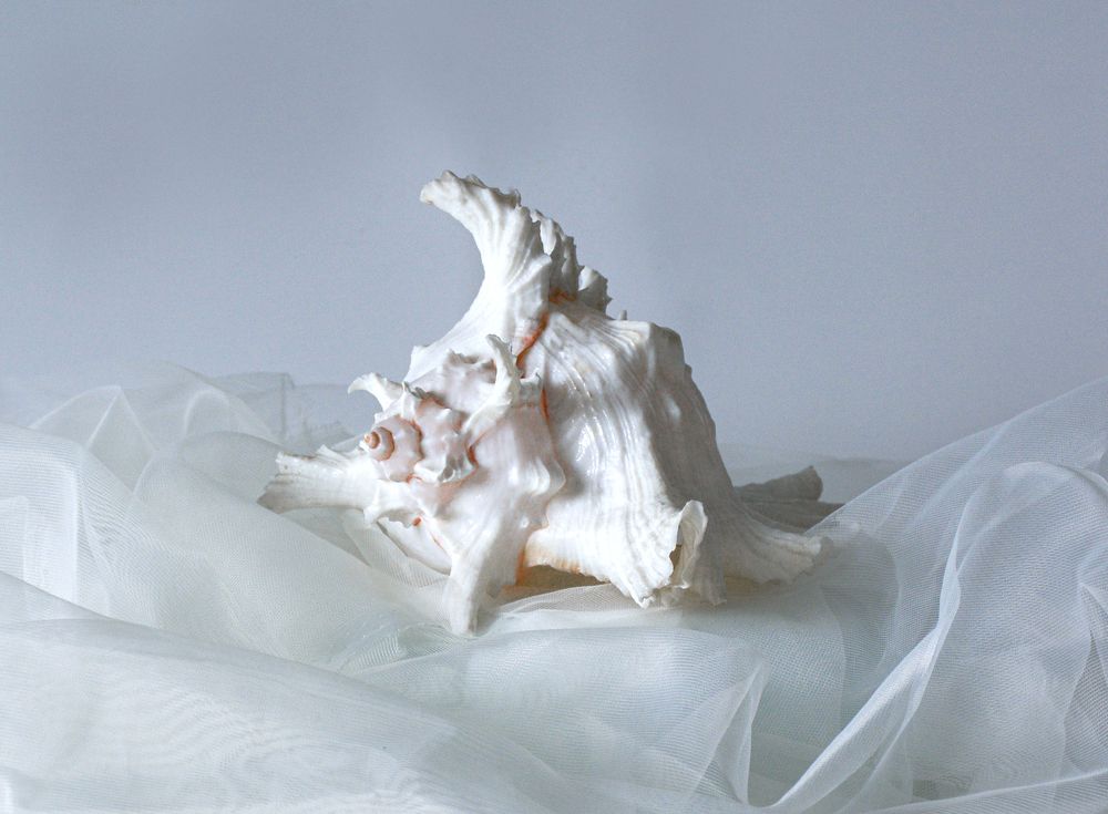 Photograph by Inna Ivanova