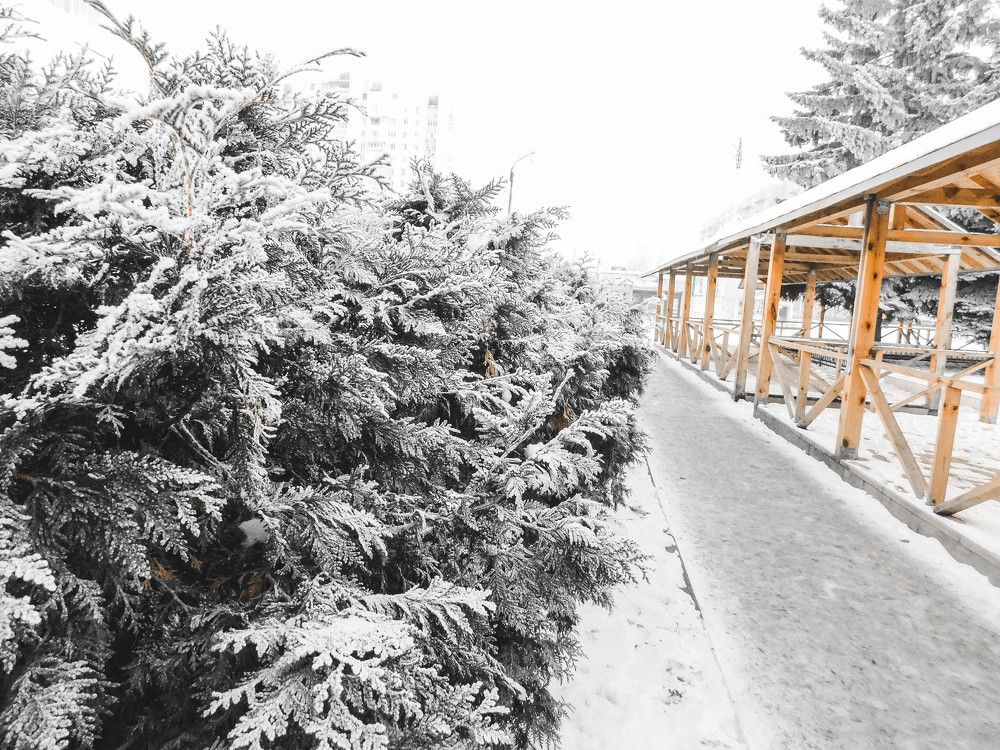 Photograph by Анна Сухарева