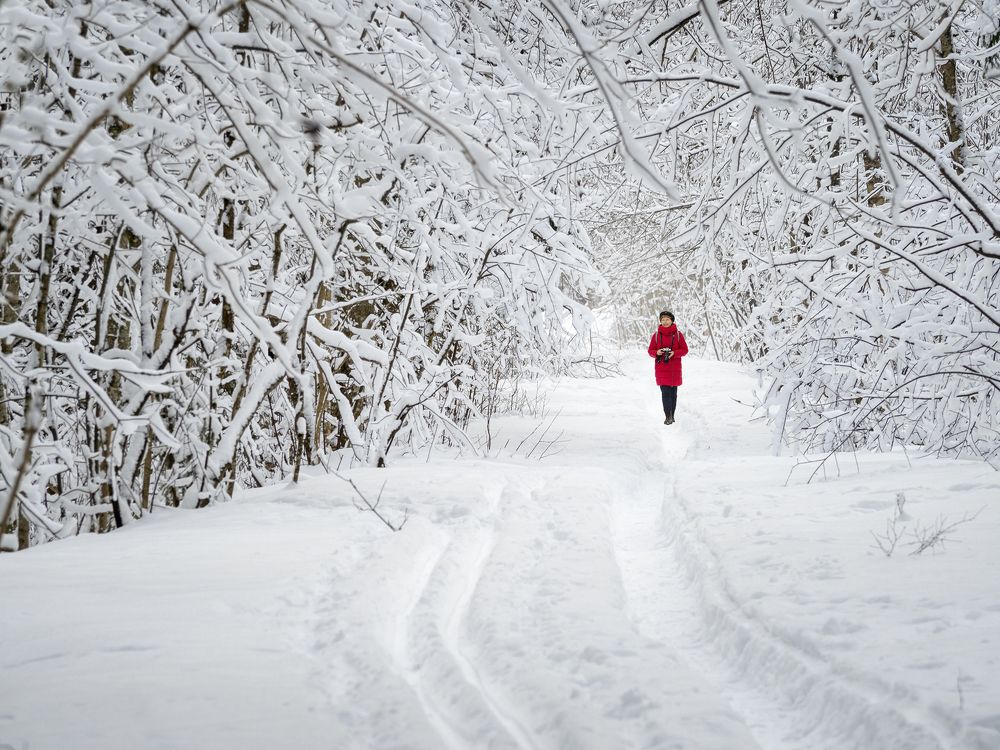 Фотография автора Евгений Кузнецов