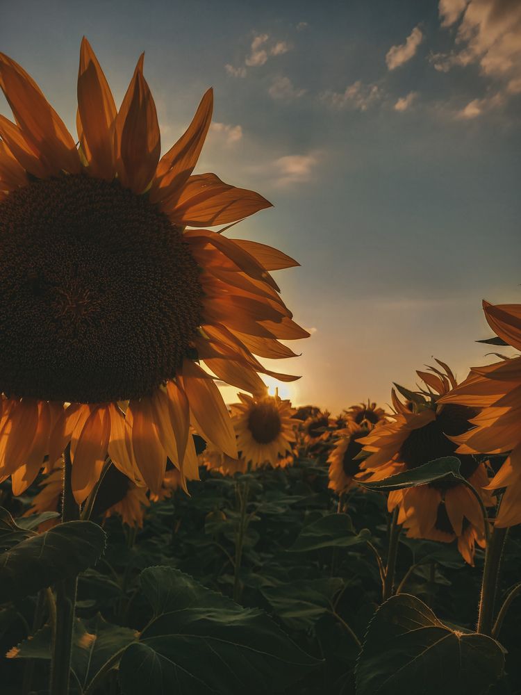 Photograph by Яна Чернега