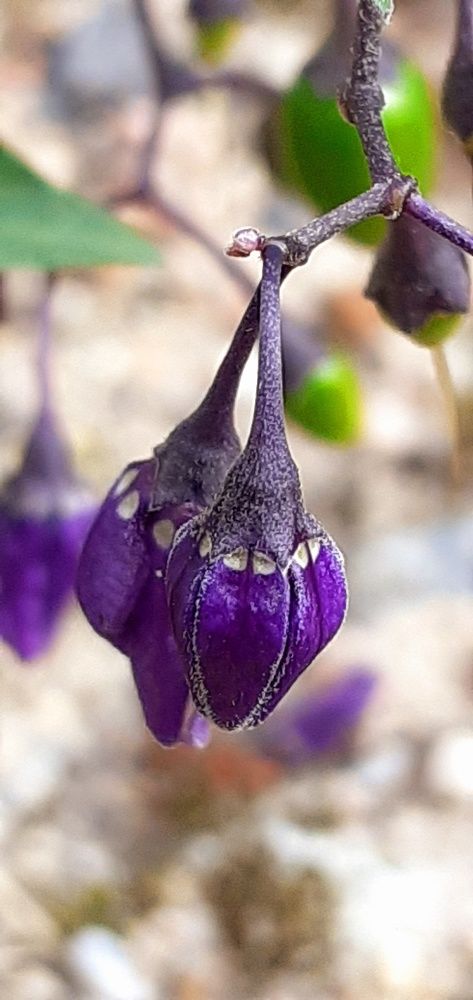 Photograph by Евгения Ульянова