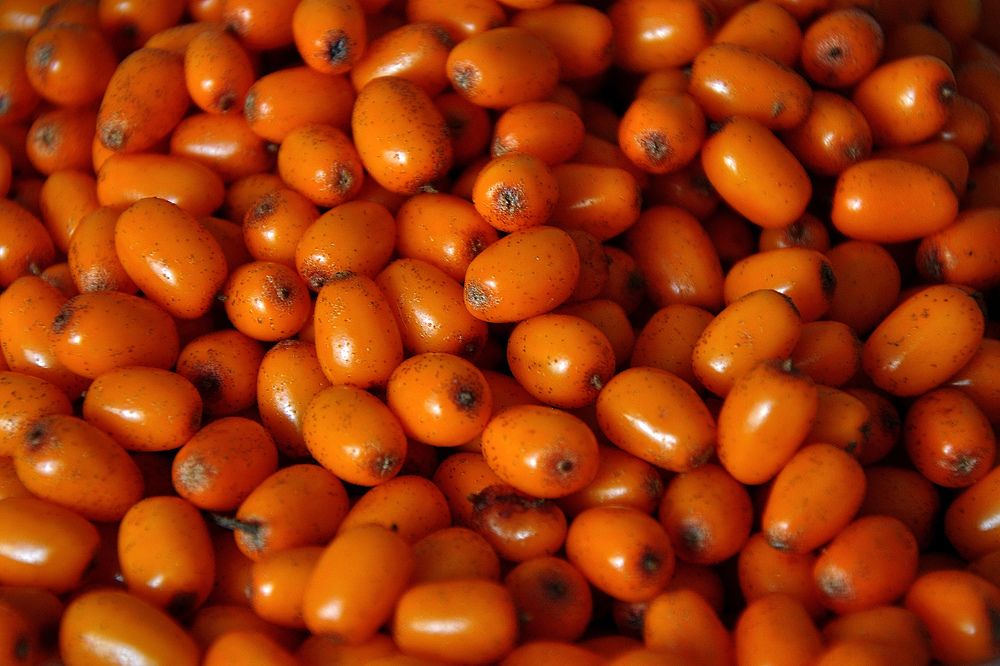 Photograph by Игорь Овсиенко