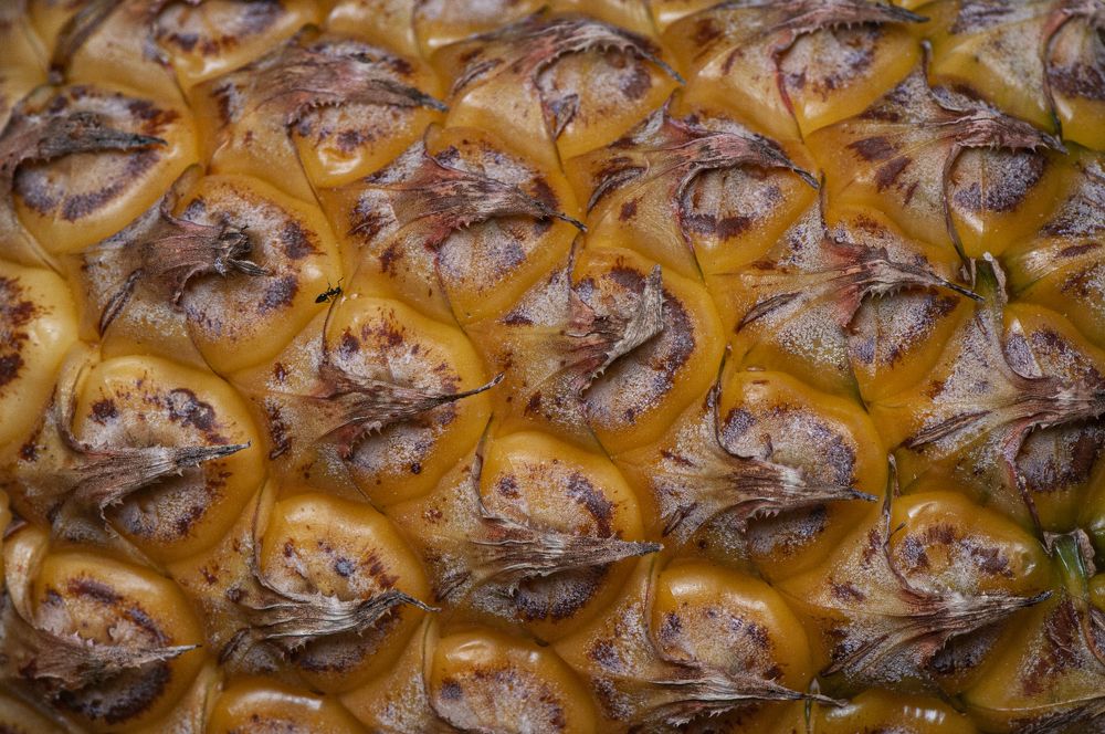 Photograph by Chamara Sulakkhana Polwatta Siriyalage