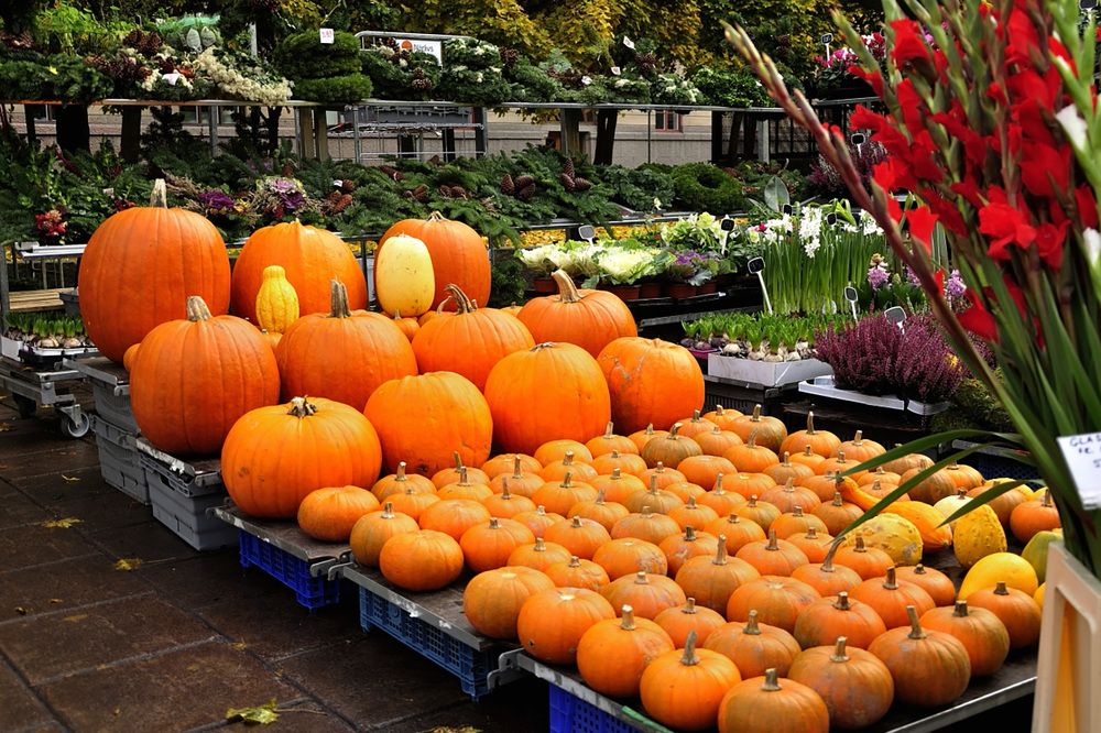 Photograph by Игорь Овсиенко