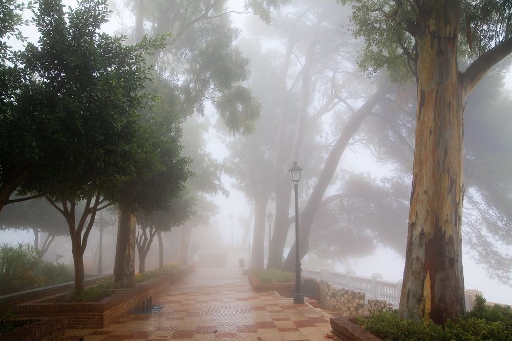 Photograph by Валерий Ситников