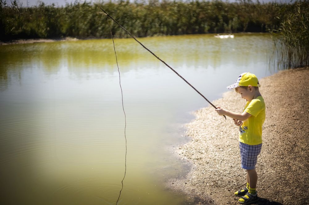 Photograph by Людмила Лебединская