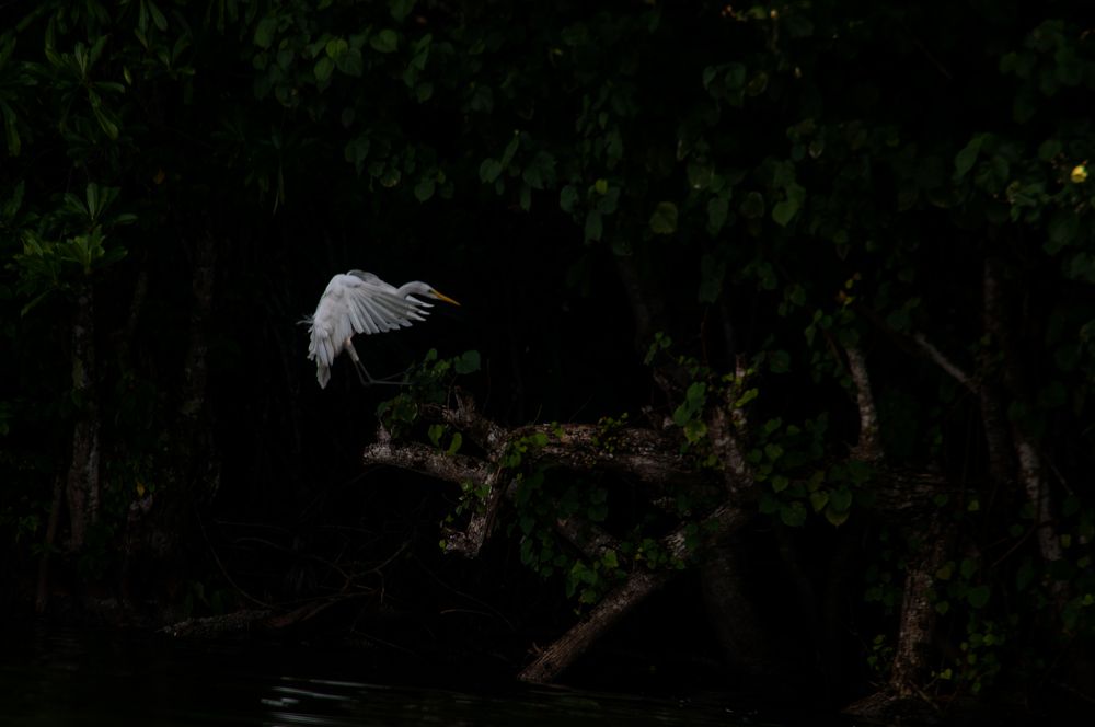 Photograph by Chamara Sulakkhana Polwatta Siriyalage