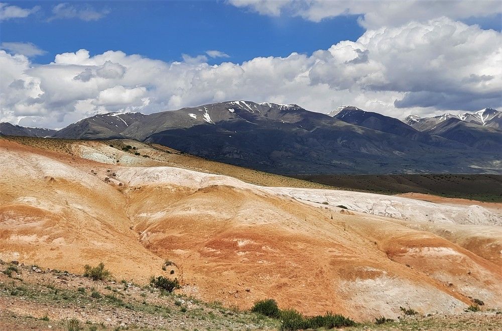 Фотография автора Елена Пикатова