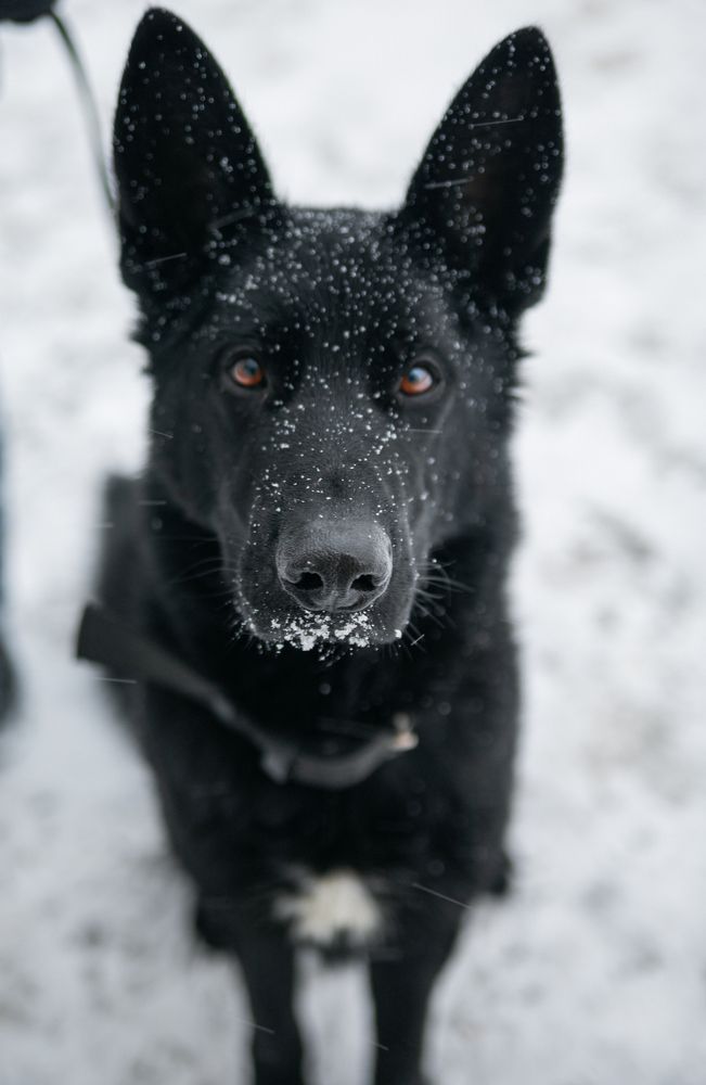 Photograph by Александр Крылов