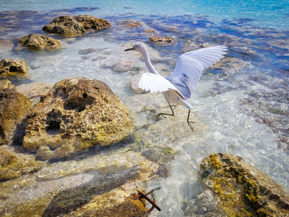 Photograph by Валерия Гуртовая