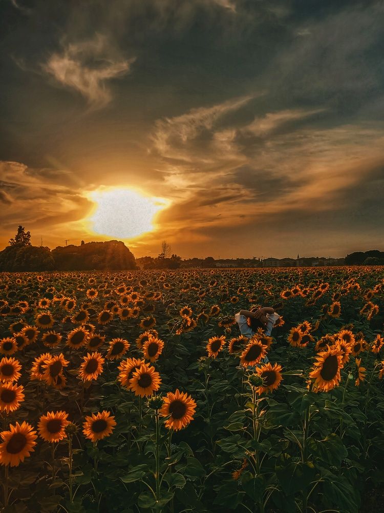 Photograph by Яна Чернега