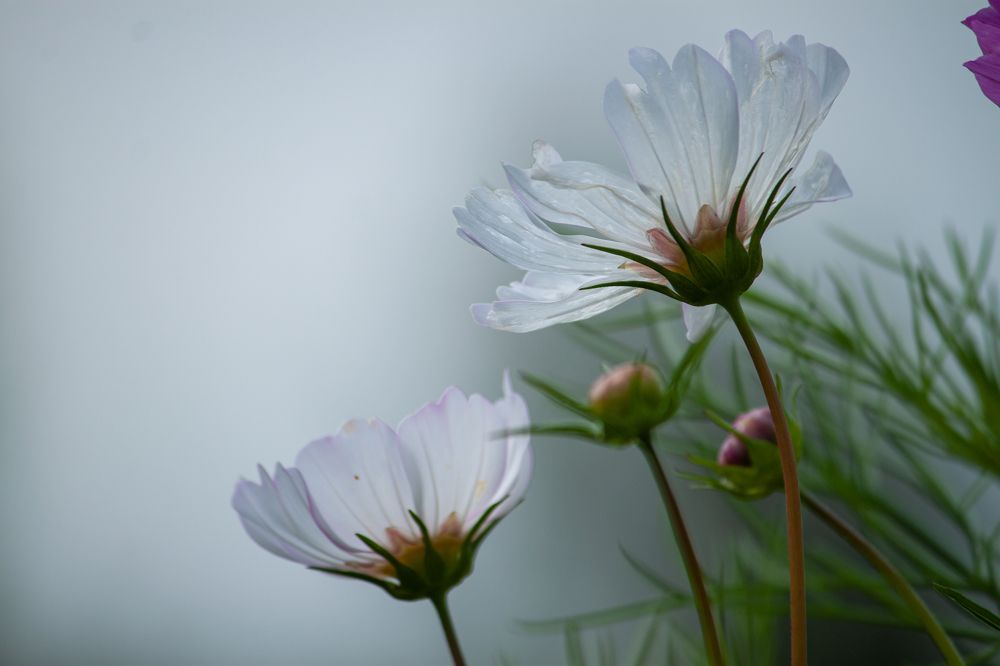 Photograph by Владислав Капанов