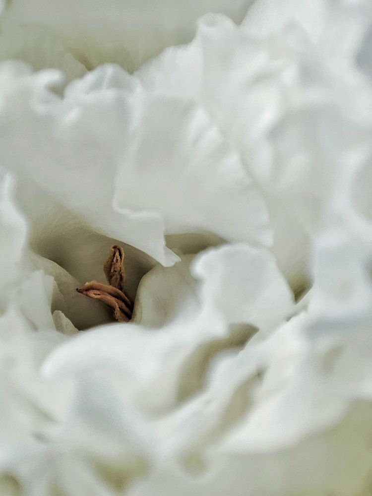 Photograph by Olga Gorokhova