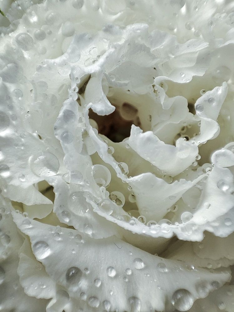 Photograph by Olga Gorokhova