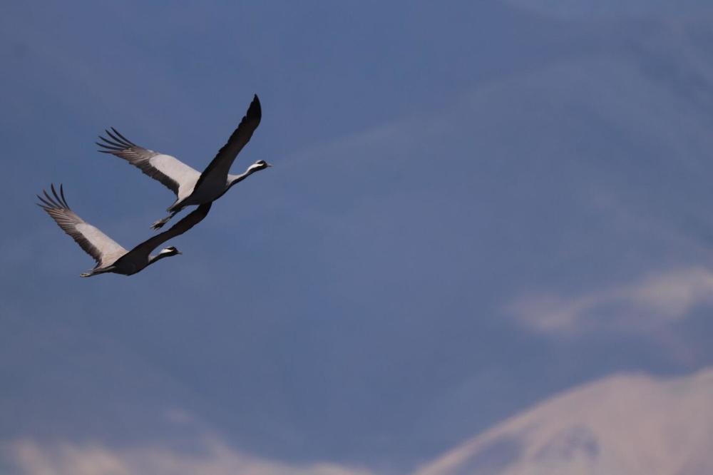 Photograph by Татьяна Кужлекова