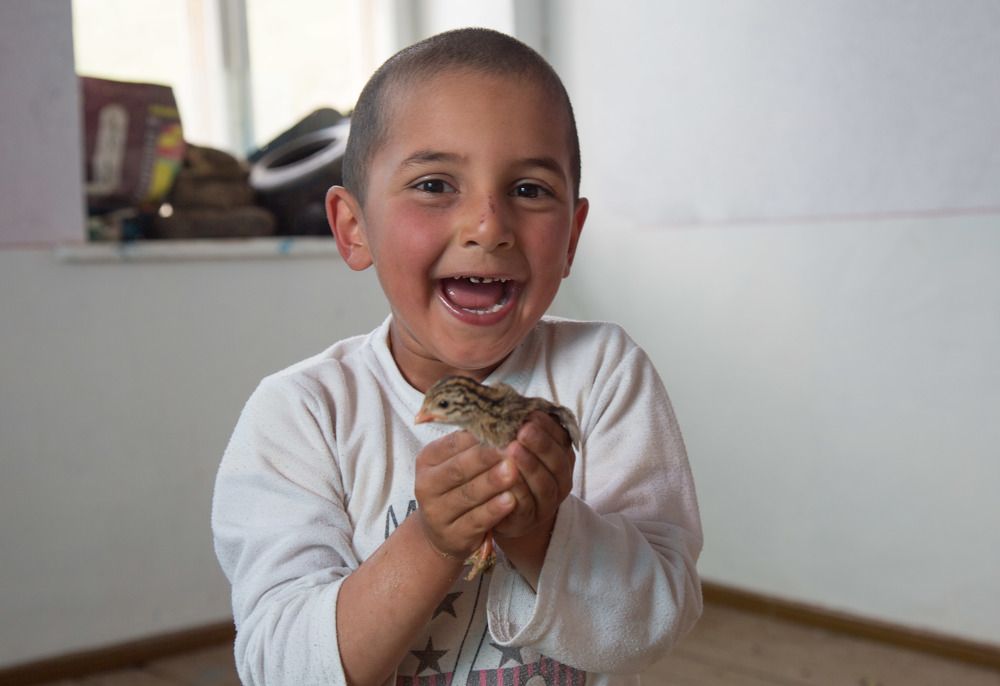 Фотография автора Natalya Snegovaya