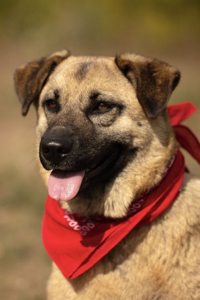 Фотография автора Ираида Гайфуллина