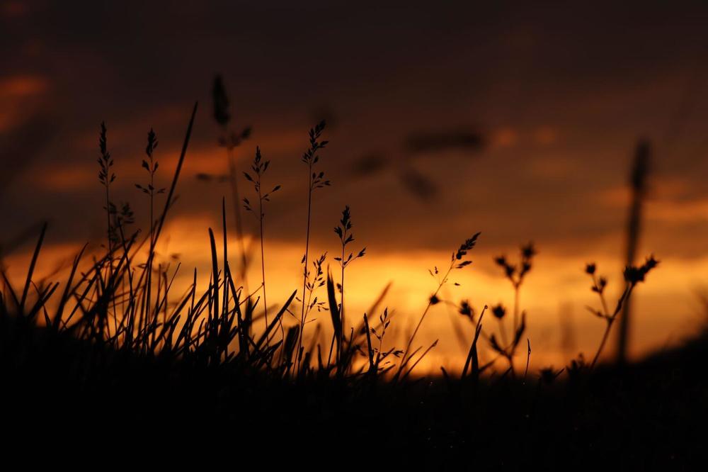 Photograph by Татьяна Кужлекова