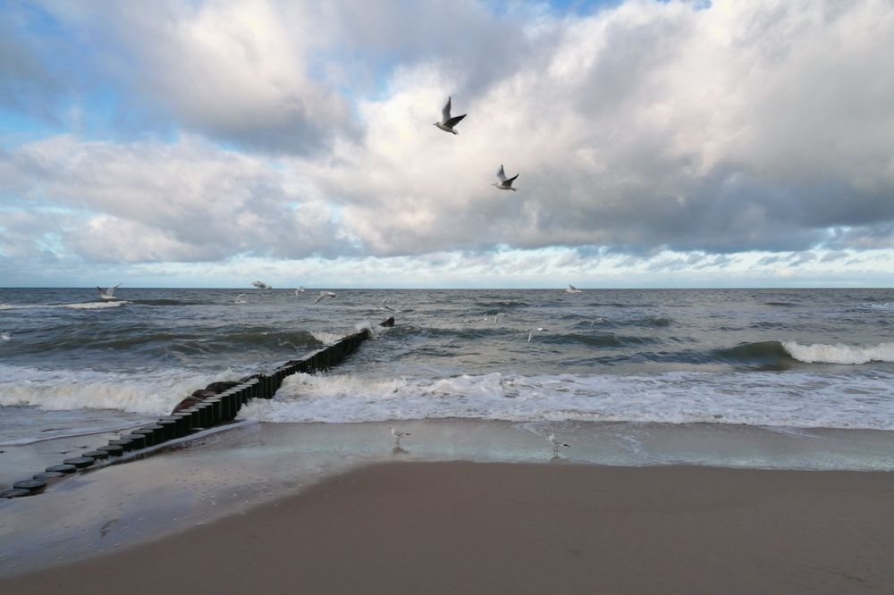 Photograph by Оксана Артемьева