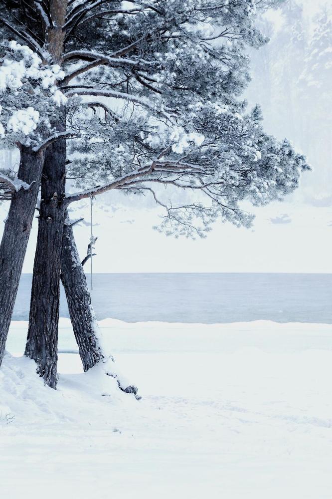 Photograph by Татьяна Кужлекова