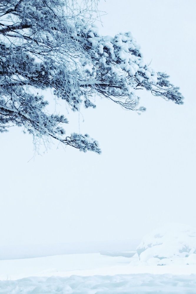 Photograph by Татьяна Кужлекова