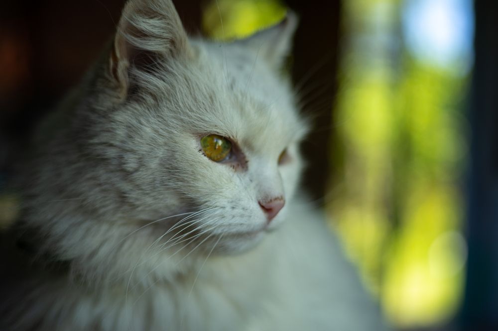 Photograph by Владислав Капанов