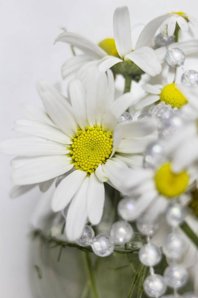 Photograph by Татьяна Шахматова