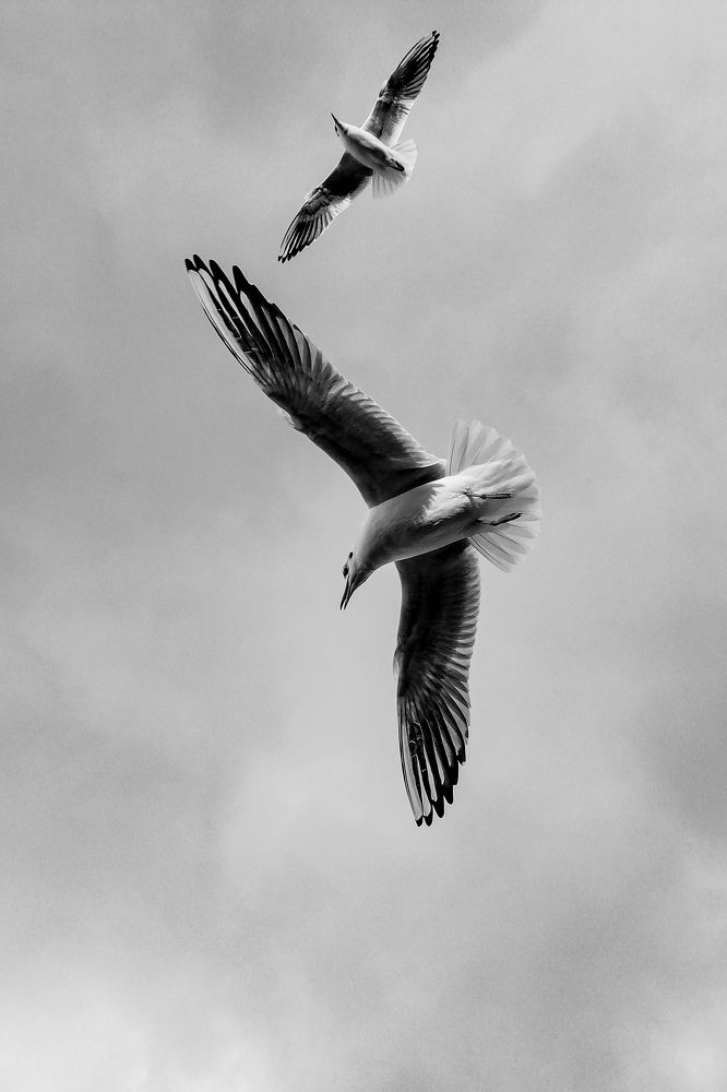 Photograph by Оксана Артемьева