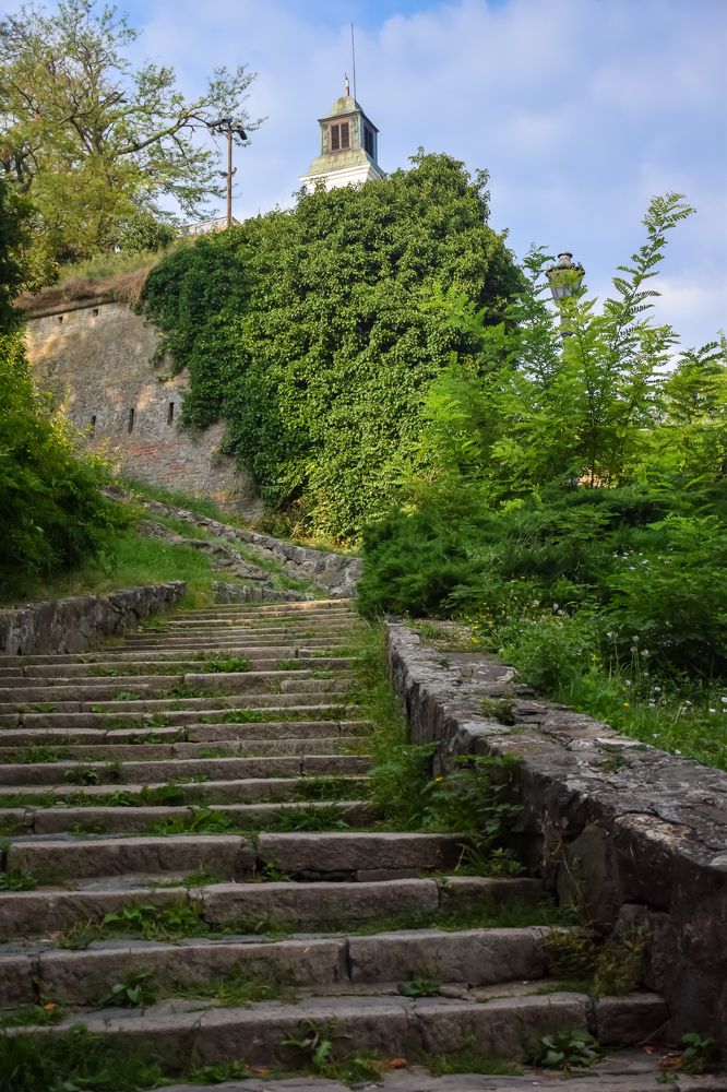 Photograph by Виктория Федосеенко