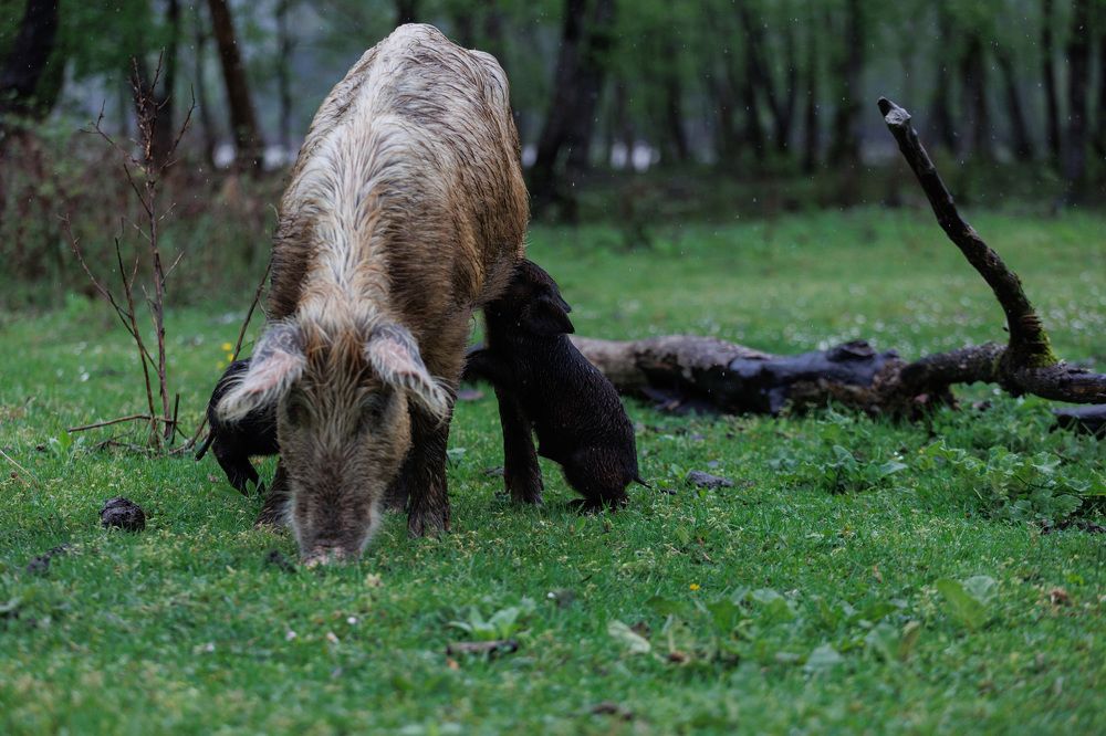 Фотография автора Fallen Angel