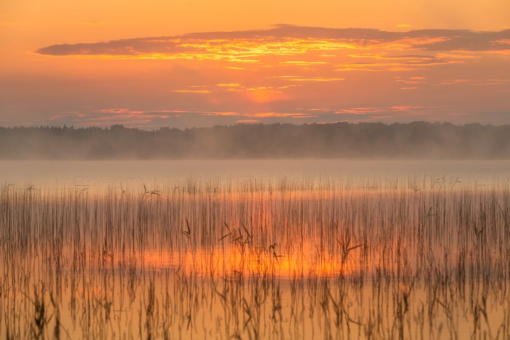 Фотография автора Александр Пашеничев