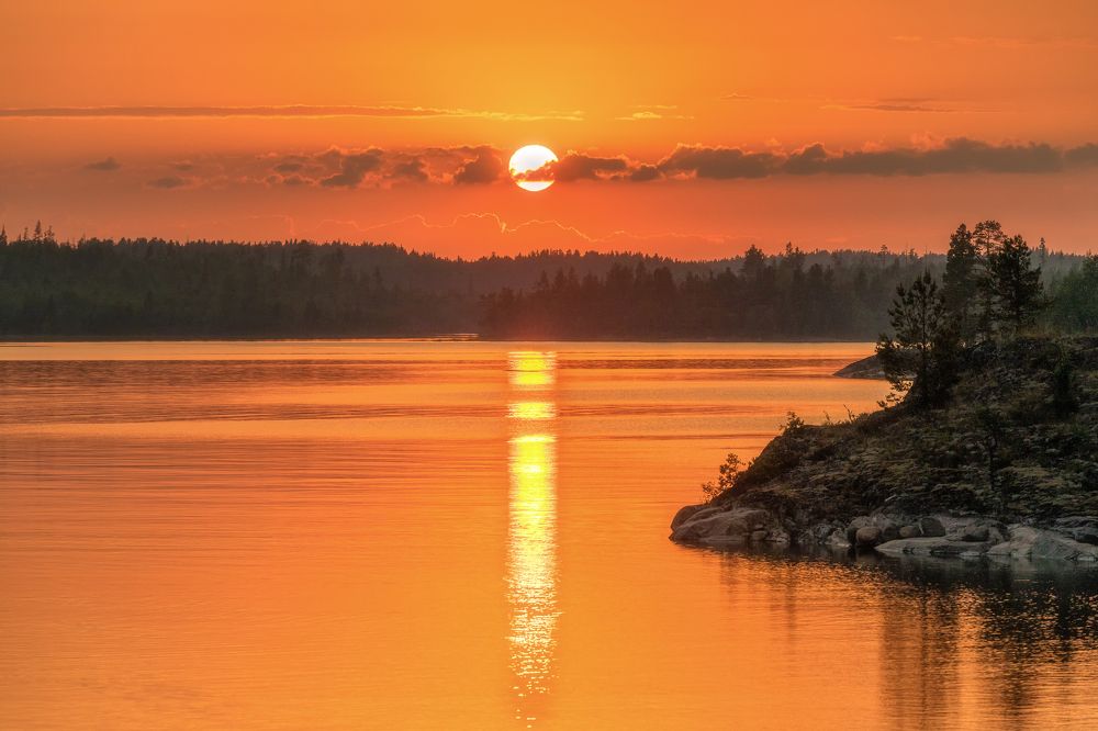 Фотография автора Александр Пашеничев