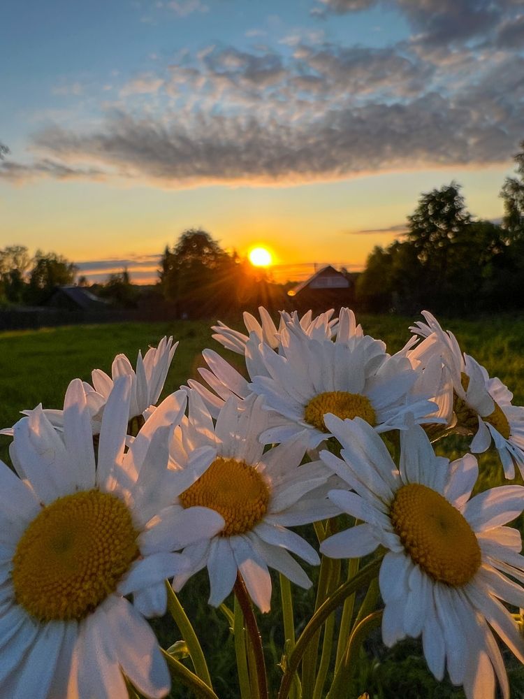 Photograph by Яна Мухина