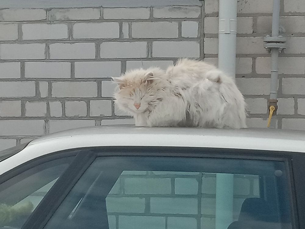 Photograph by Вячеслав Чирин