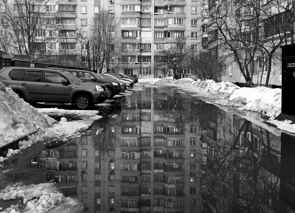 Photograph by Михаил Янкин