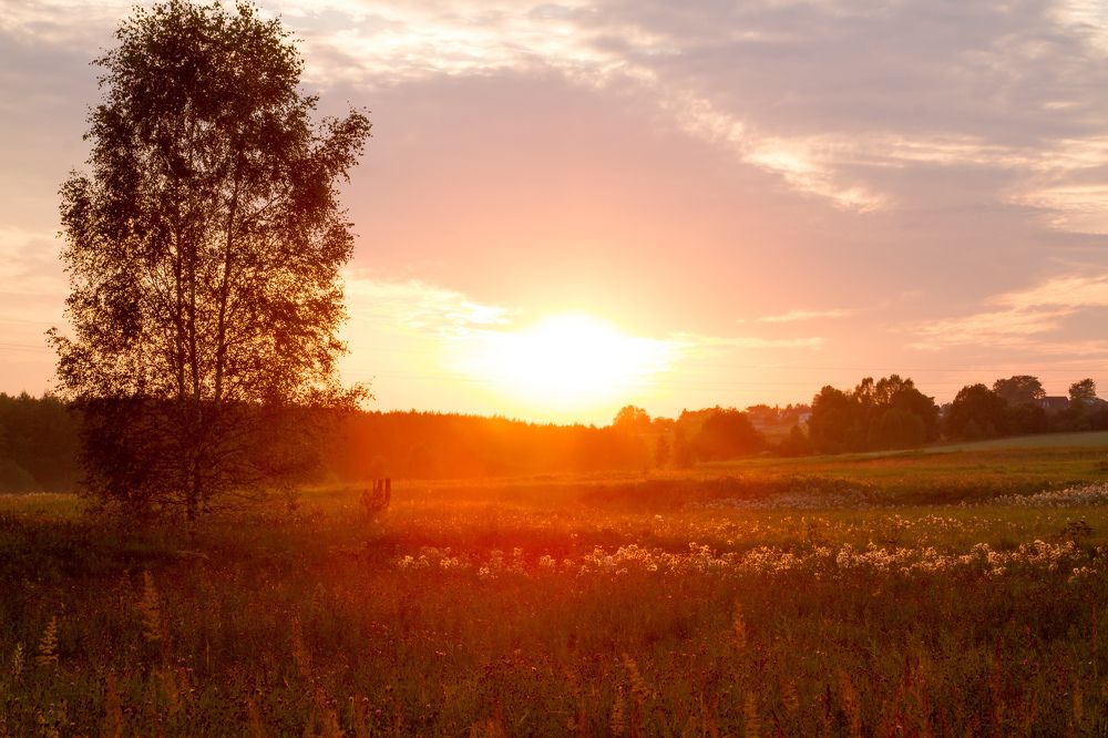 Закат на поляне
