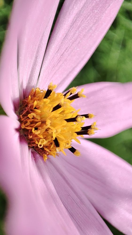 Photograph by Ангелина