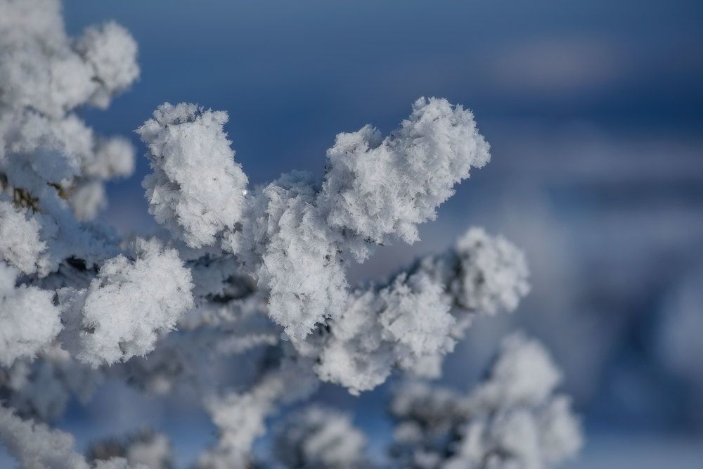 Photograph by Марина Зборацкая