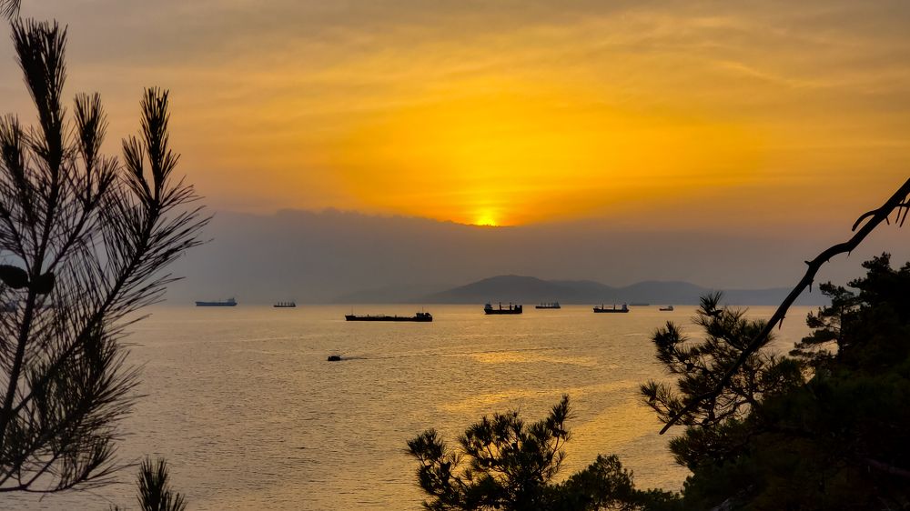 Photograph by Сергей Кравченко